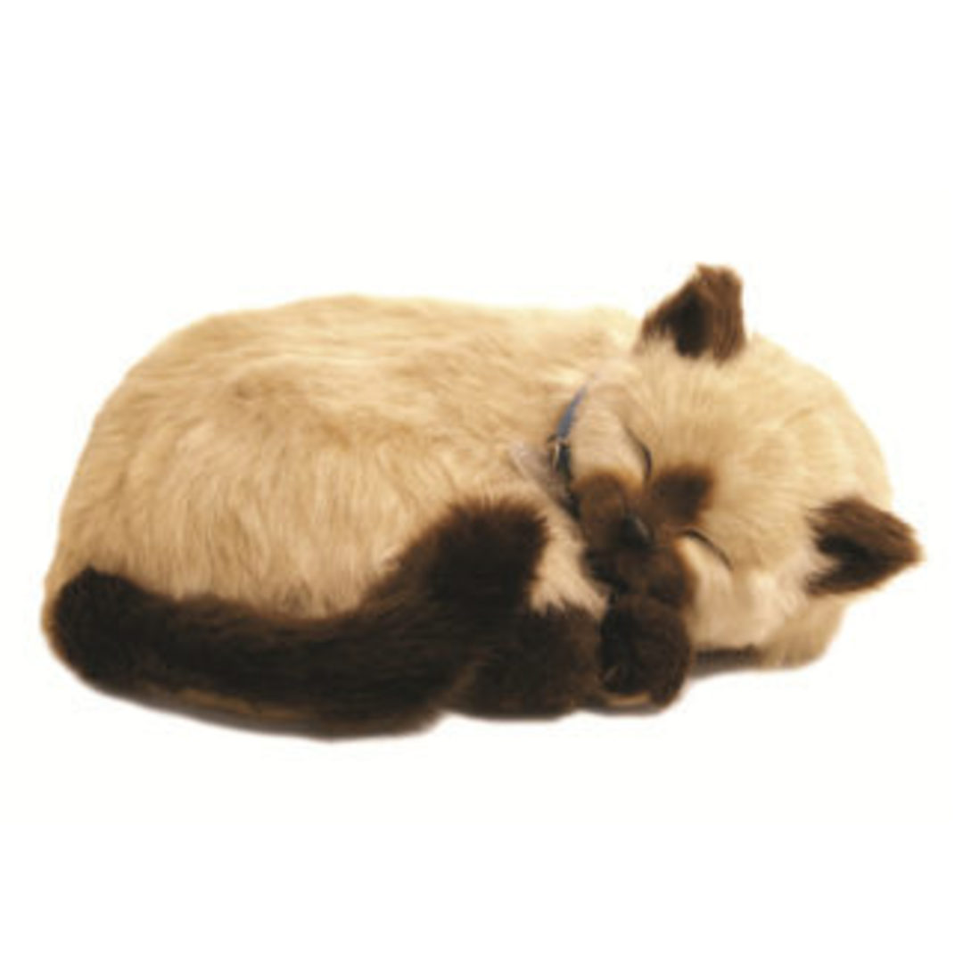 Perfect Petzzz – Tan Siamese Cat image 0